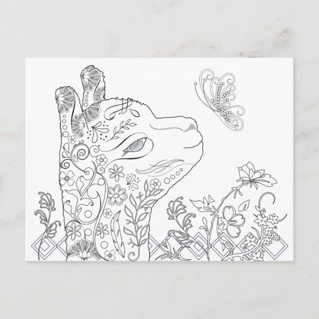 Postales para adultos con colores alpaca mariposa  (Anverso)