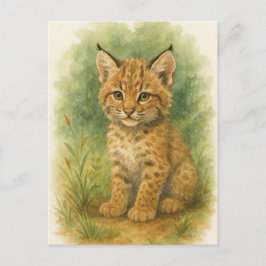 Postales para animales salvajes de gatos gatos jóv