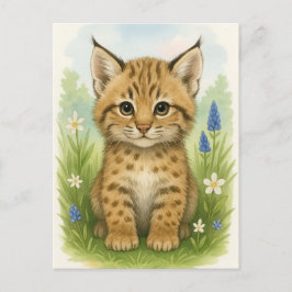 Postales para animales salvajes de gatos gatos jóv