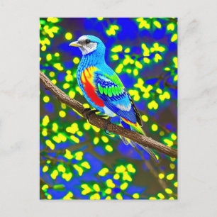Postales para aves de colores vivos