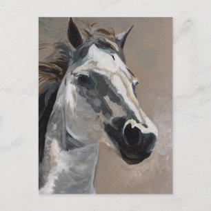 Postales para caballos