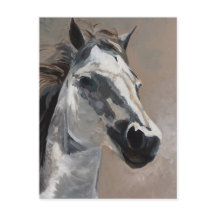 Postales para caballos