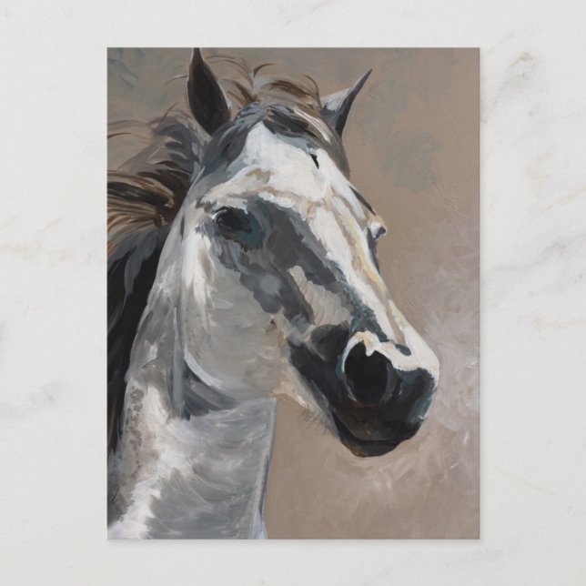 Postales para caballos (Anverso)