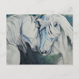 Postales para caballos de color agua