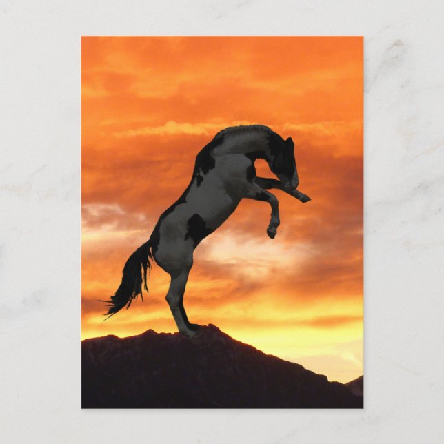 Postales para caballos de crianza (Anverso)