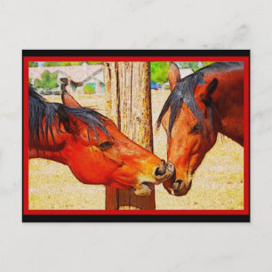 Postales para caballos - El beso de la tarde