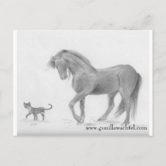 Postales para caballos y gatos