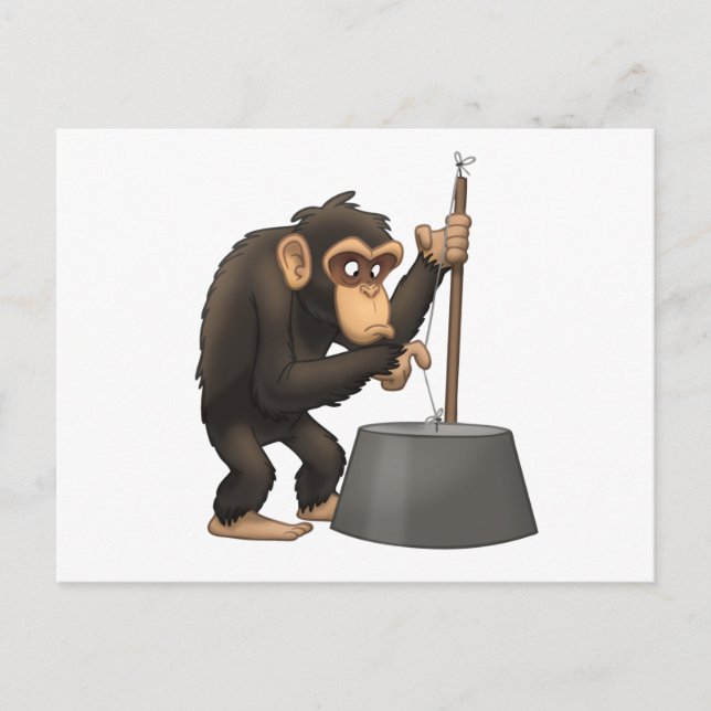 Postales para chimpancé de lavavajillas (Anverso)