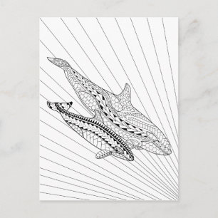 Postales Para Colores De Orca Y Bebé Adultos