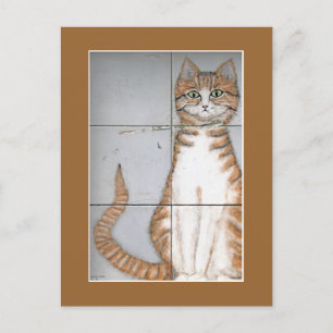 Postales para el gato de Amsterdam