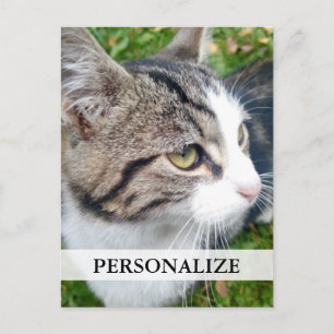 postales para fotos de personalizados   Añadir la 