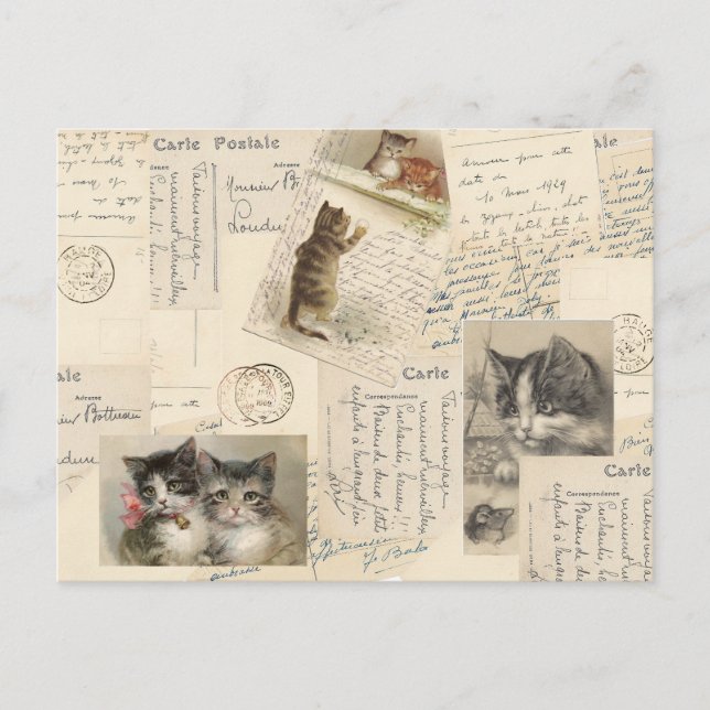 Postales para gato vintage Kitten francés (Anverso)