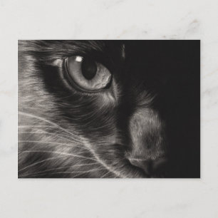 Postales para gatos de belleza negra