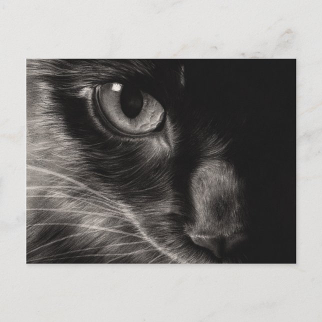Postales para gatos de belleza negra (Anverso)