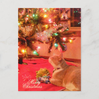 Postales para gatos de navidades