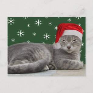 Postales para gatos de navidades