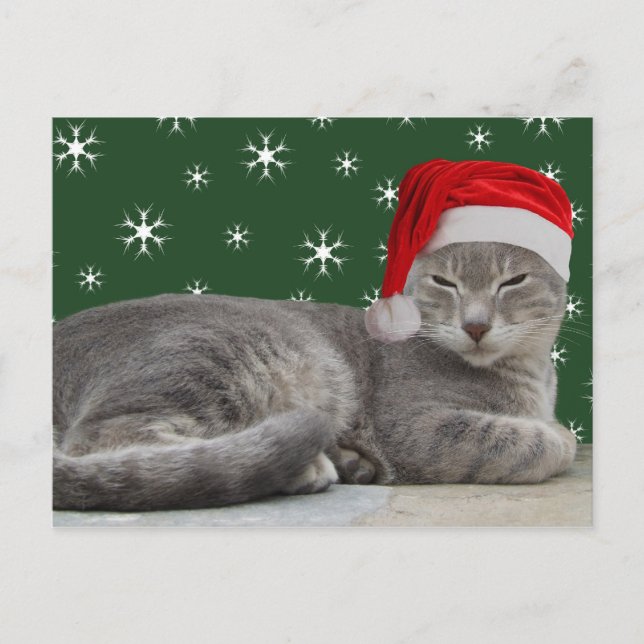 Postales para gatos de navidades (Anverso)