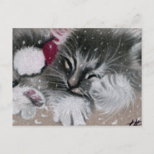 Postales para gatos de Santa Kitty