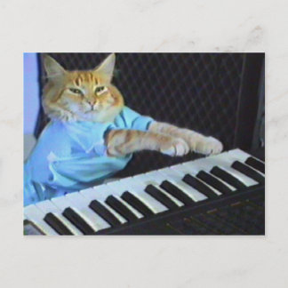 Postales para gatos de teclado!