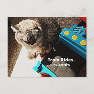 Postales para gatos en el tren