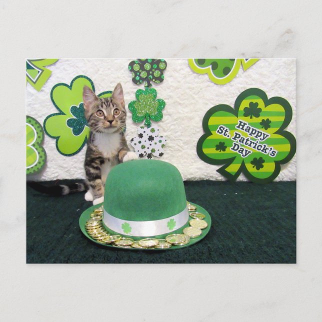 Postales para gatos/gatitos del Día de San Patrici (Anverso)