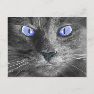Postales para gatos místicos