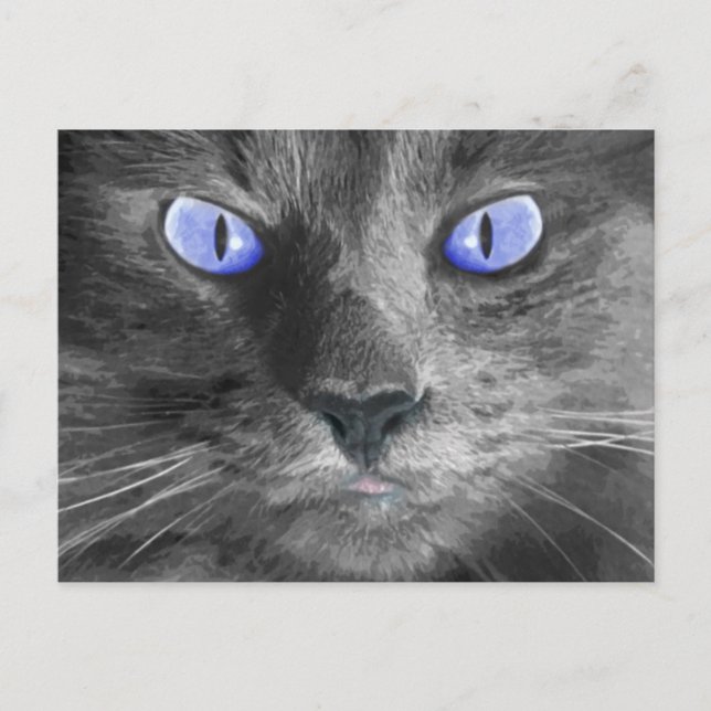 Postales para gatos místicos (Anverso)
