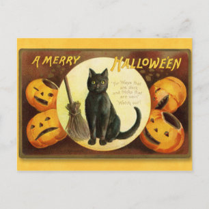 Postales para gatos y calabazas de Halloween