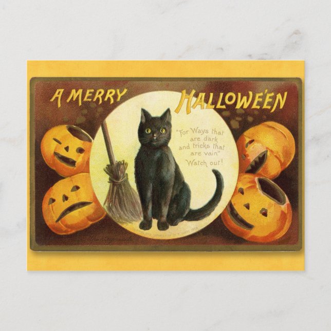 Postales para gatos y calabazas de Halloween (Anverso)