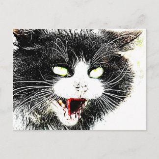 Postales para gatos zombi