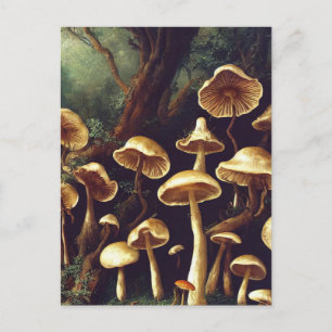 Postales para hongos
