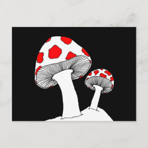 Postales para hongos