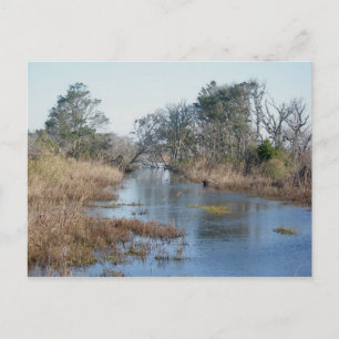 Postales para humedales de marea baja Buxton NC OB