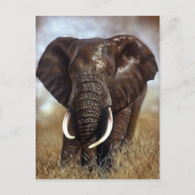 Postales para impresiones de toros de elefante (Anverso)