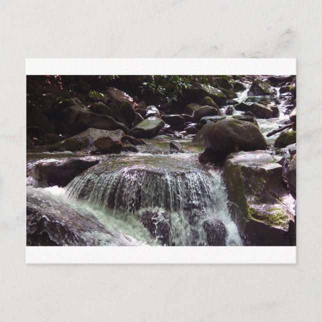 Postales para Navidades de Tennessee sin glifosato (Anverso)