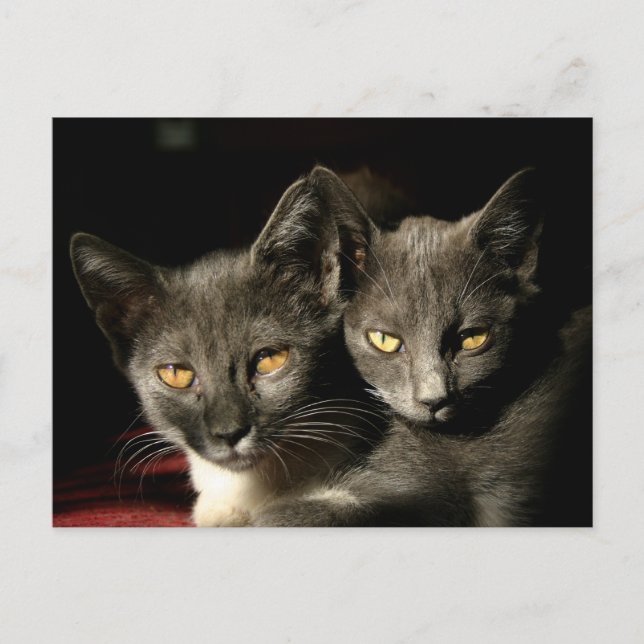 Postales para niños y madres (Anverso)