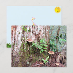 Postales para pequeñas setas