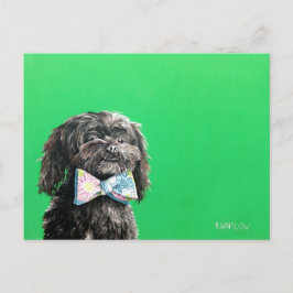 Postales para perros Shih Tzu Yorkie - Chip