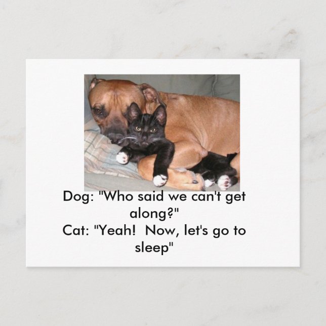Postales para perros y gatos (Anverso)