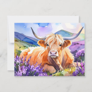 Postales para vacas de color escocés