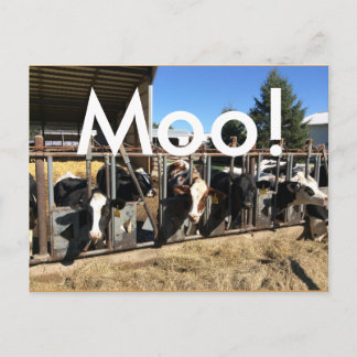 Postales para vacas de luna