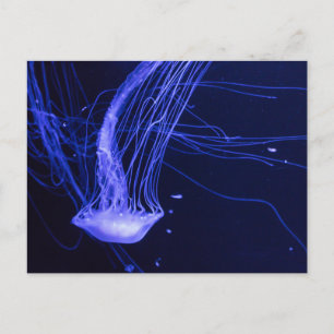 Postales planas con vistas al mar moderno