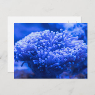 Postales planas con vistas al mar moderno