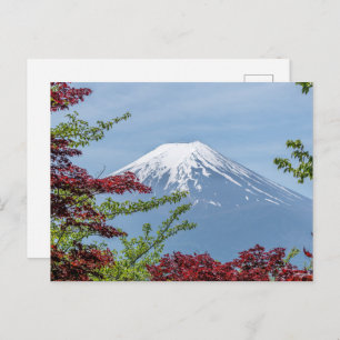 Postales planas con vistas al mar moderno