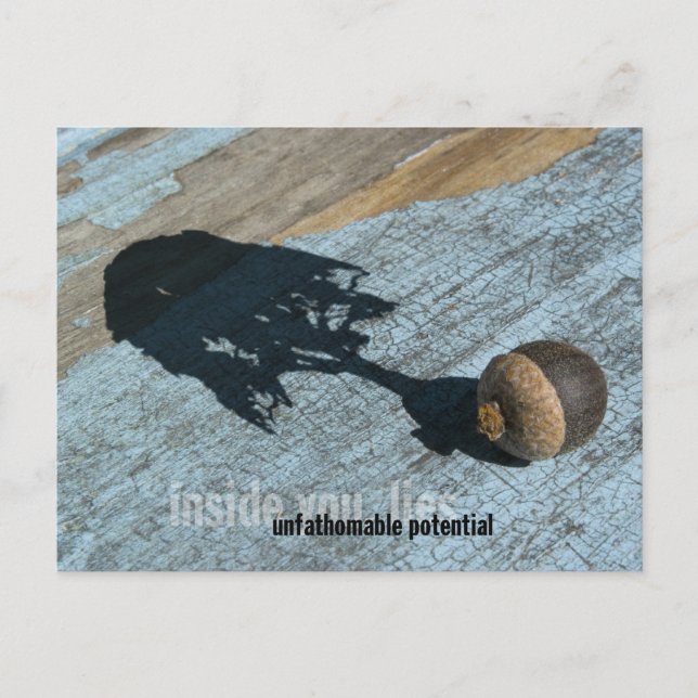 Postales "Potenciales" (Anverso)