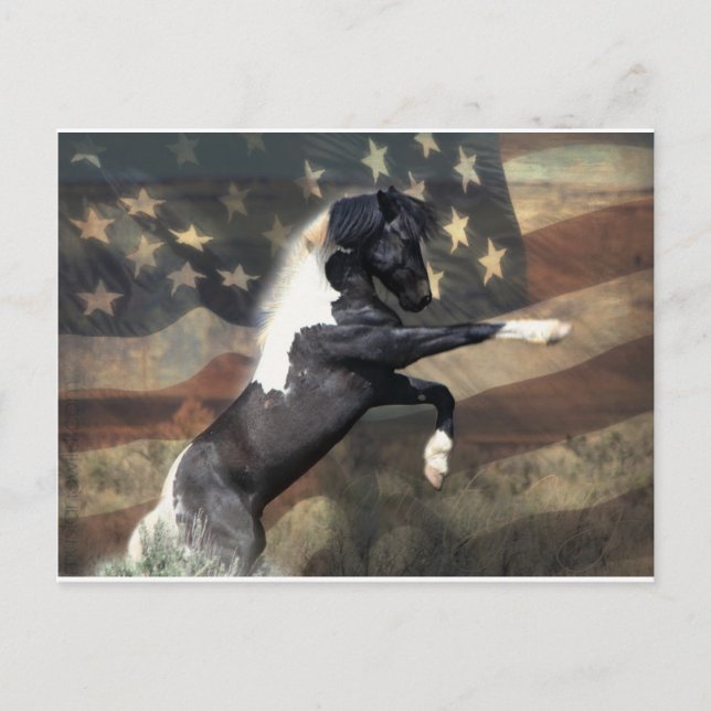 Postales predirigidas al Departamento del Interior (Anverso)