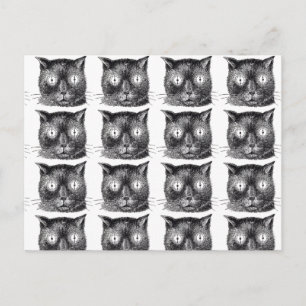 Postales repetitivas para gato negro y blanco - St
