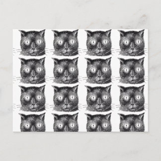 Postales repetitivas para gato negro y blanco - St