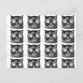Postales repetitivas para gato negro y blanco - St