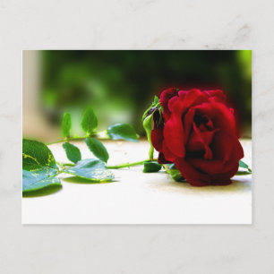 Postales rojas